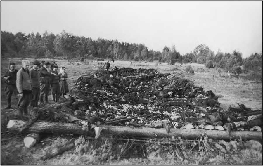 Кладбище лагеря смерти, в котором погибли жители Ленинградской и Псковской областей