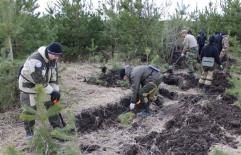 Встречи на поисковых маршрутах